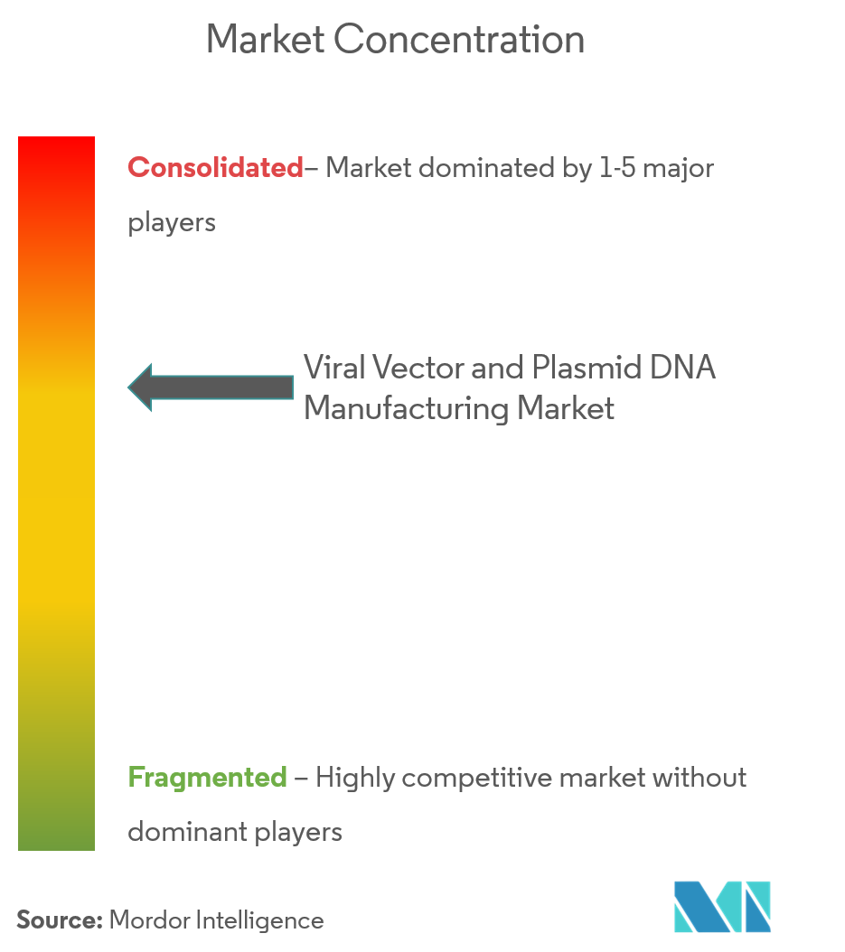 Viral Vector and Plasmid DNA Manufacturing Market Concentration